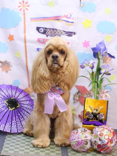 20040502グルートくん